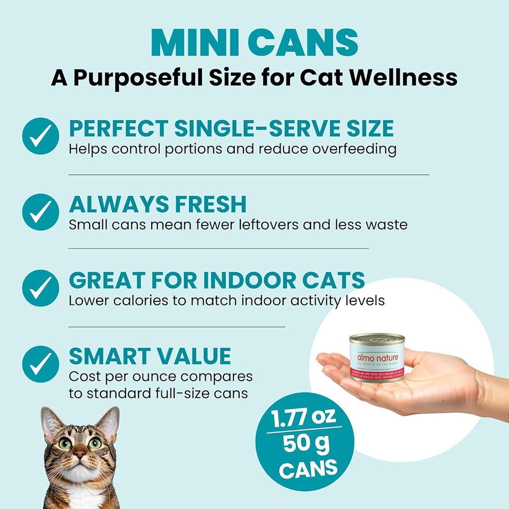 HQS Supportive Immune Support Formula - Chicken Recipe With Blueberry In Gravy Adult Cat Food - Image 6