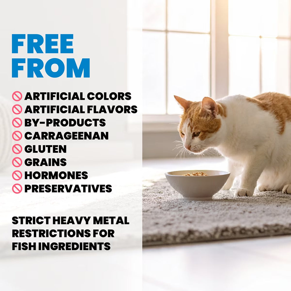 HQS Supportive Indoor Formula - Chicken Recipe In Gravy Adult Cat Food - Image 4
