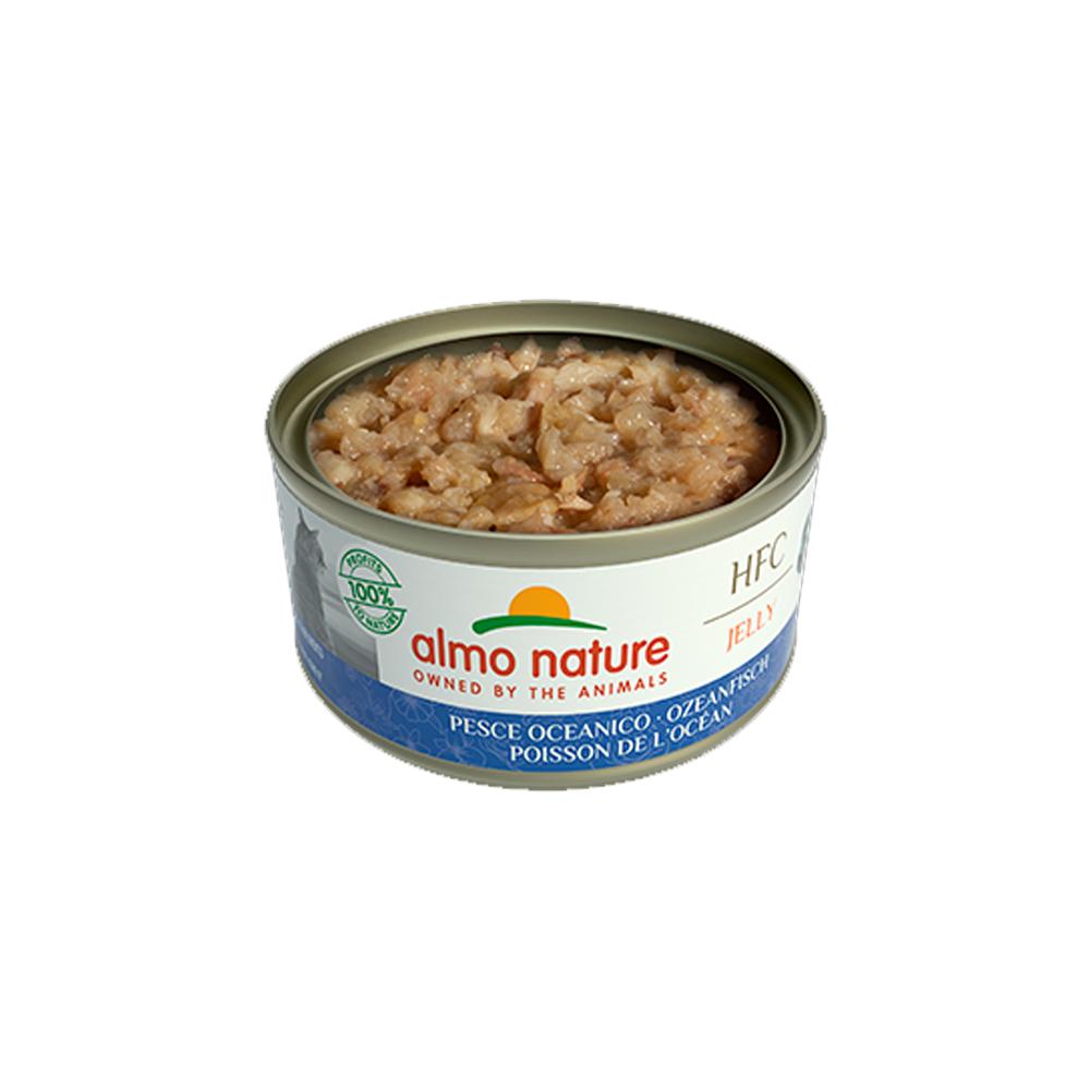 HFC Jelly Ocean Fish Cat Can - Image 2