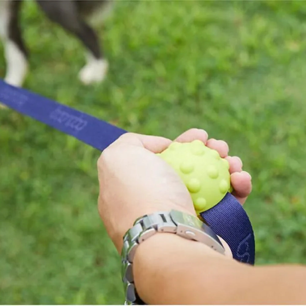 Soft BoonBall for Dog Leash Use - Image 16
