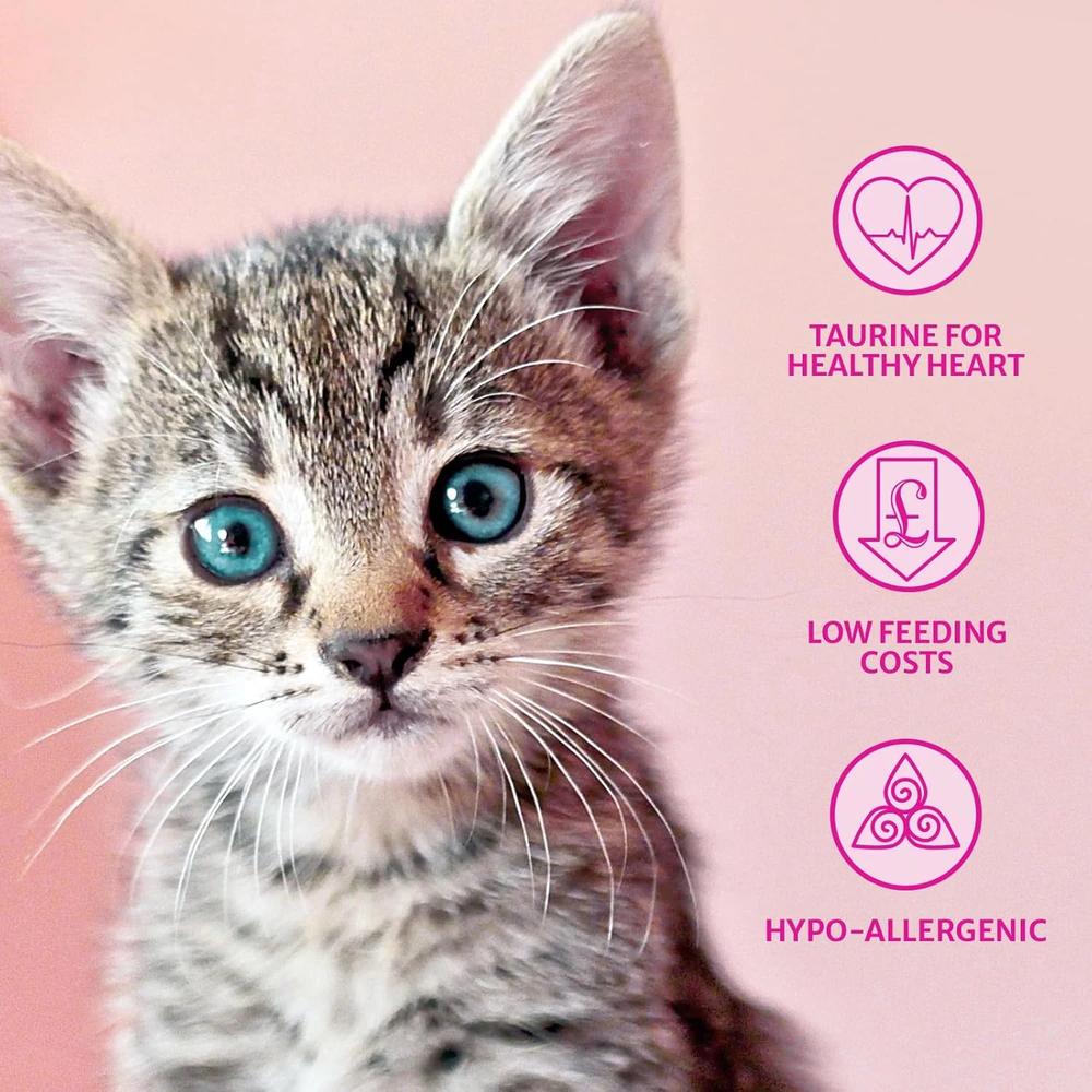 Kitten Chicken & Rice Cat Dry Food - Image 3