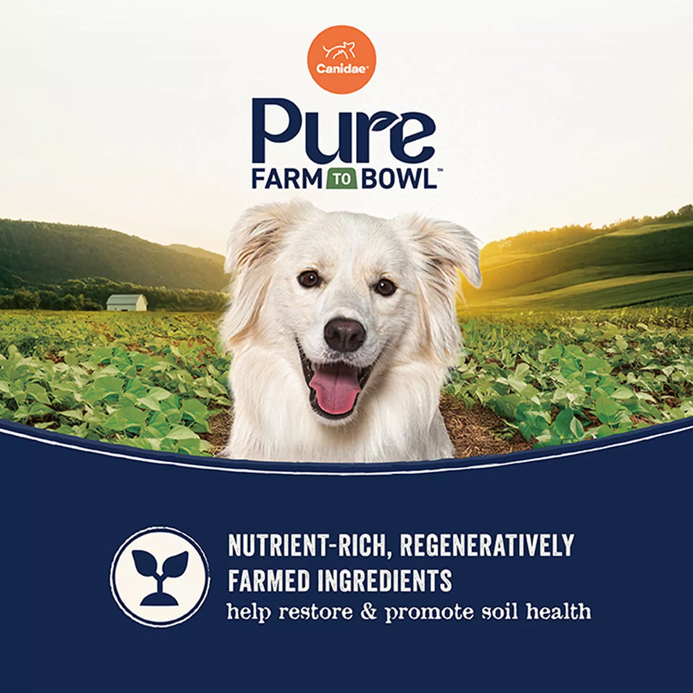 PURE Grain Free Dog Dry Food - Bison, Lentil & Carrot - Image 5