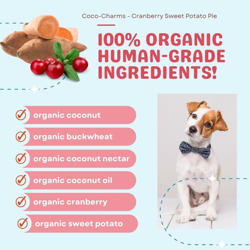 Coco - Charms Organic Training Dog Treats - Cranberry Sweet Potato - Image 4