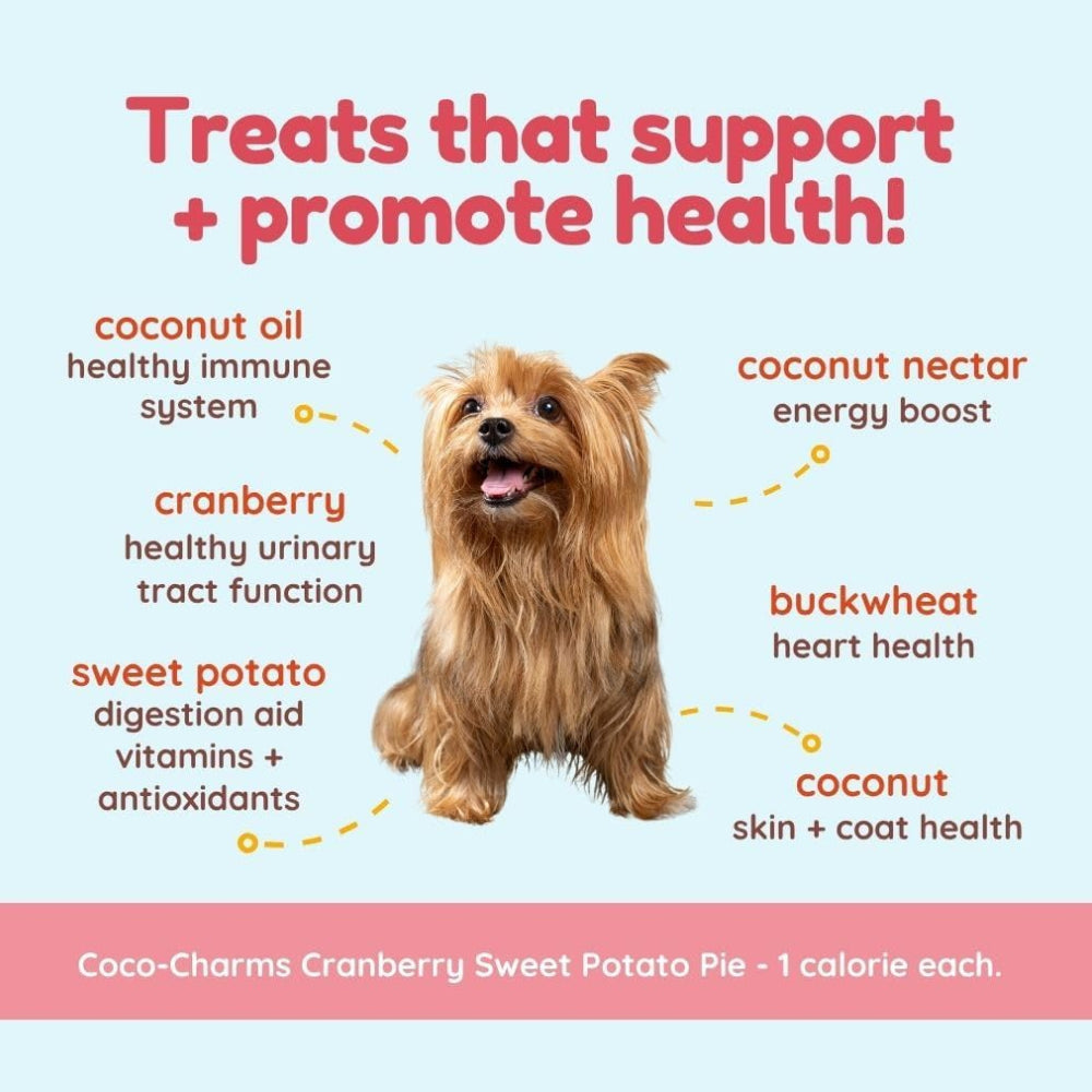 Coco - Charms Organic Training Dog Treats - Cranberry Sweet Potato - Image 5