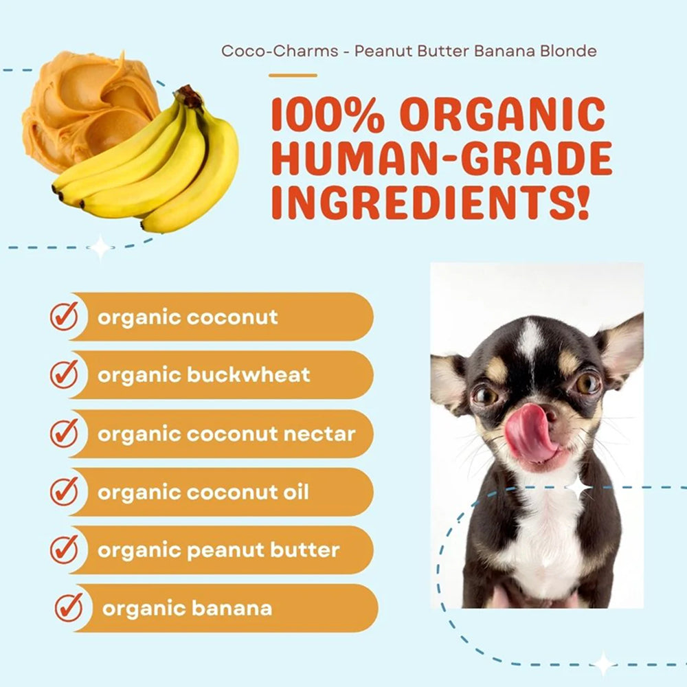 Coco - Charms Organic Training Dog Treats - Peanut Butter Banana - Image 4
