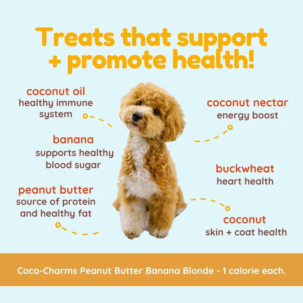 Coco - Charms Organic Training Dog Treats - Peanut Butter Banana - Image 5