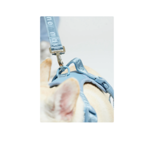 Easy Fit Harness