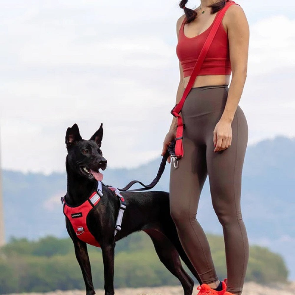 6 in 1 Multi-functional Hands-Free Dog Leash - Image 6