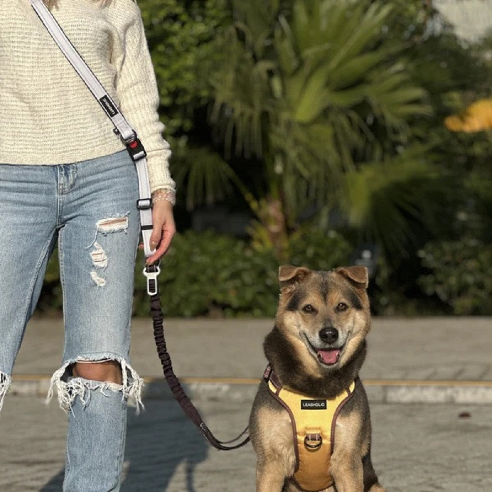 6 in 1 Multi-functional Hands-Free Dog Leash - Image 7