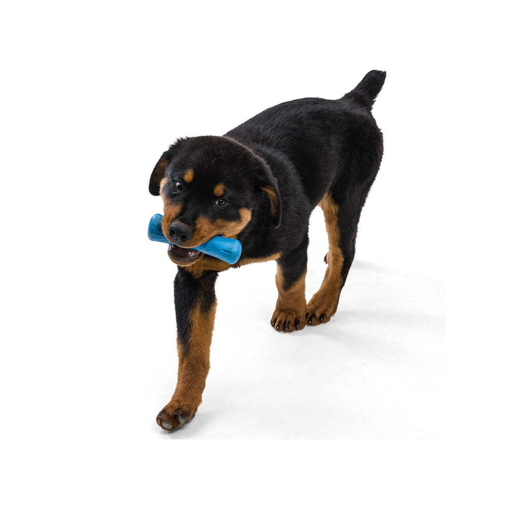 Drifty Seaflex Dog Bone Chew Toy - Image 9