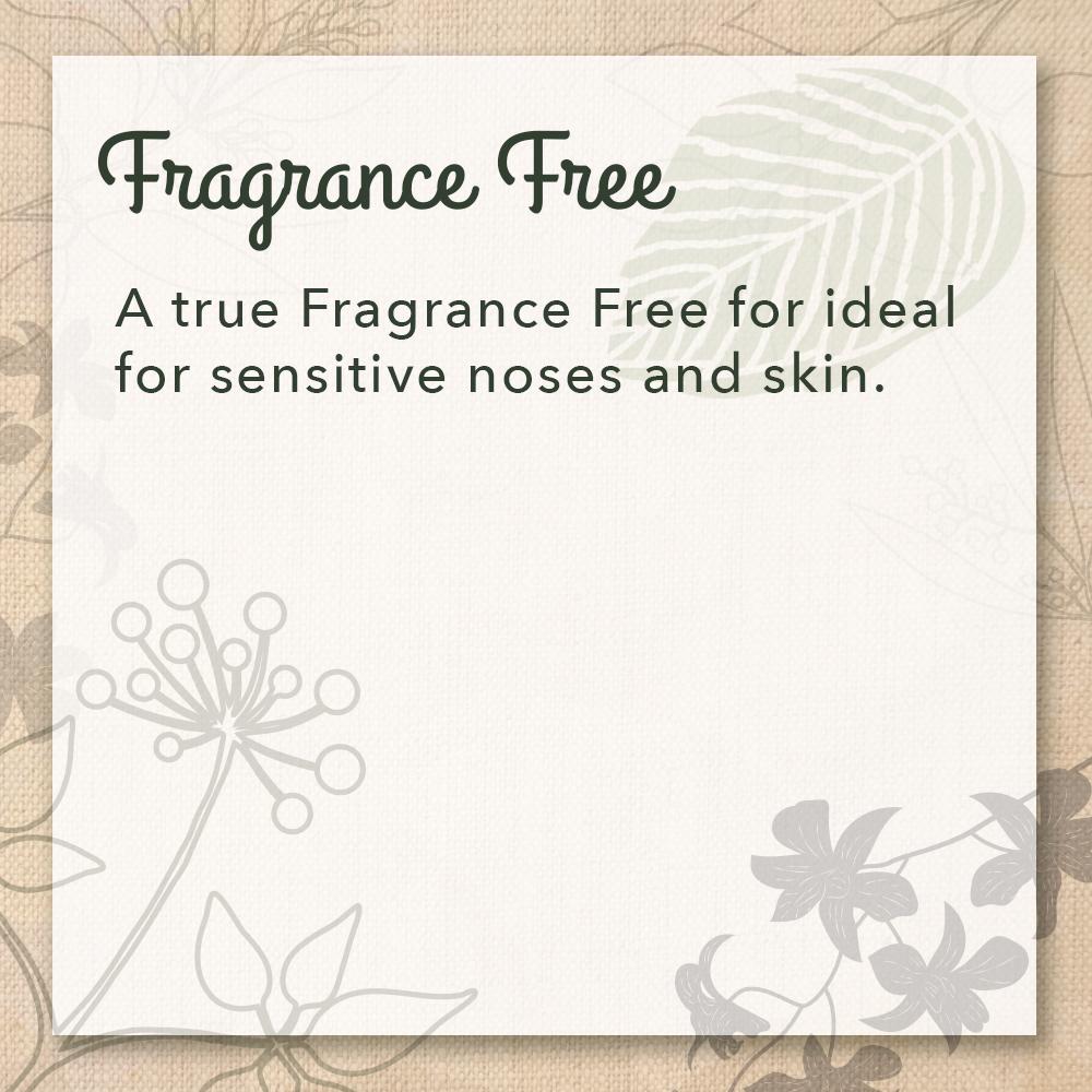 Dish Soap - Image 6