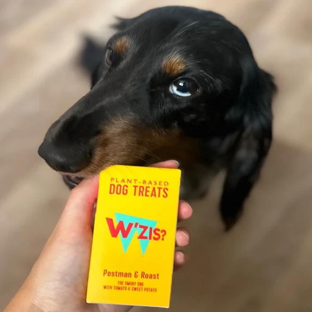 Grab&Go: Postman & Roast Treats for Dogs - Image 4