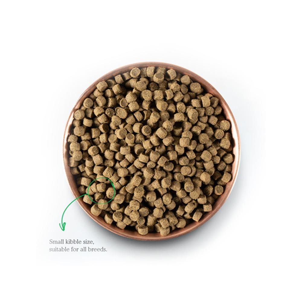 Senior Turkey & Chicken Dog Dry Food - Image 4