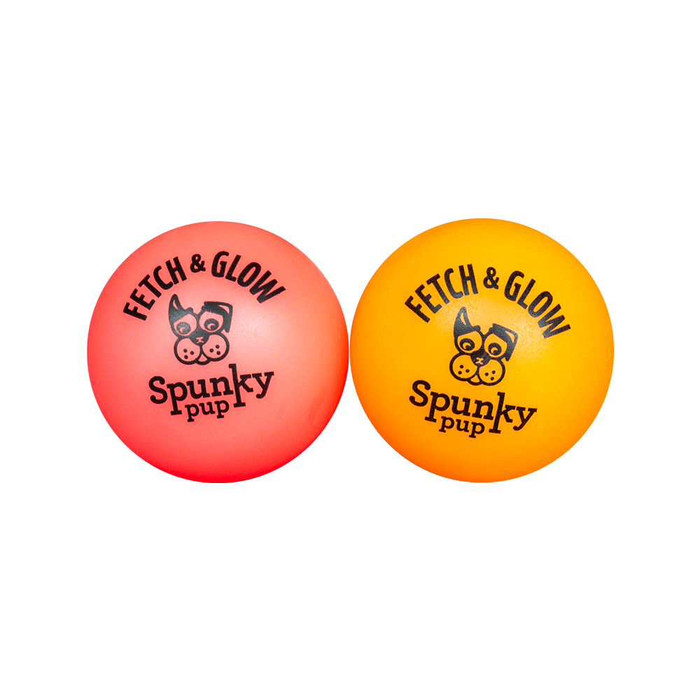 Fetch & Glow Balls Dog Toys - Image 4