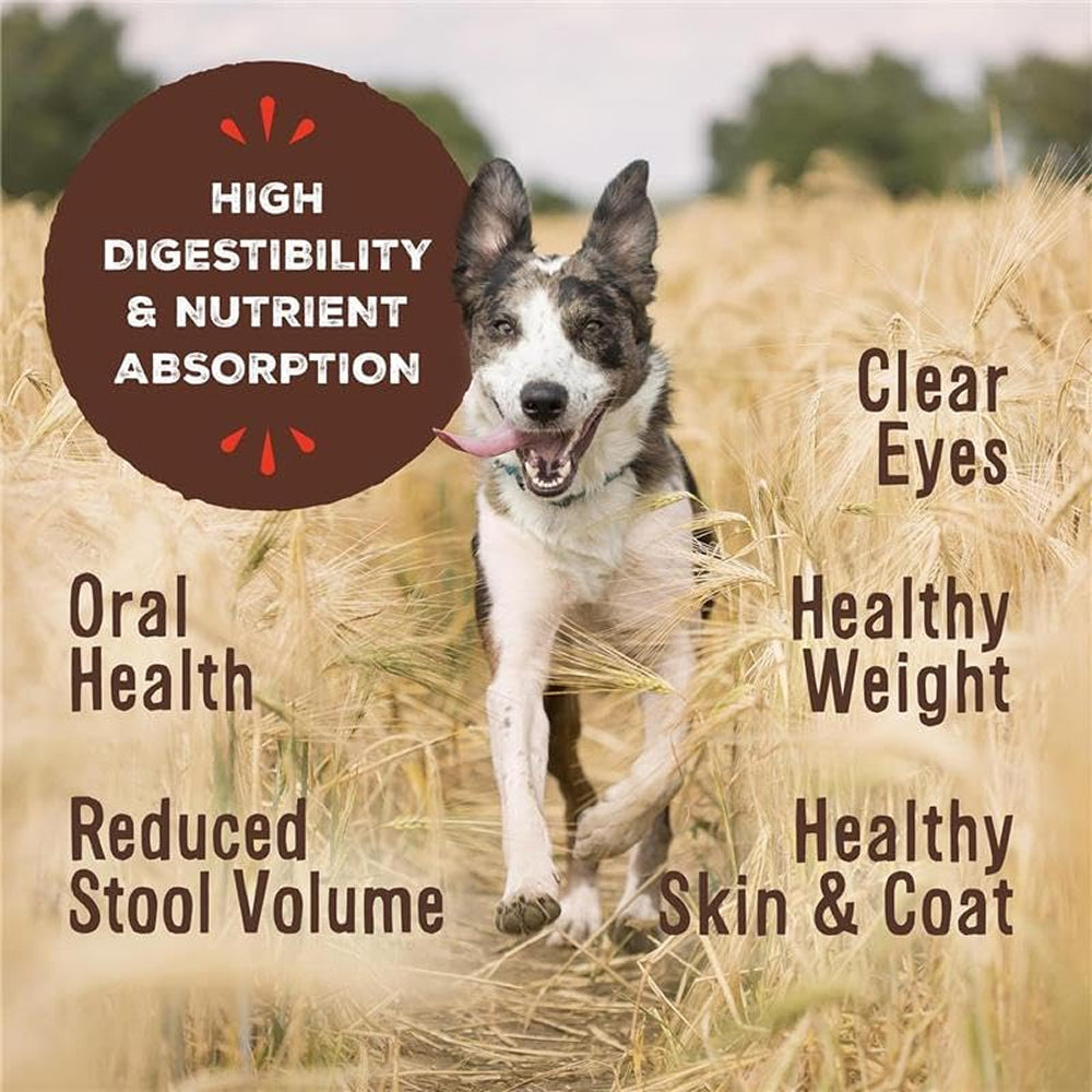 Freeze Dried Turkey & Sardine Nuggets Dog Food - Image 10