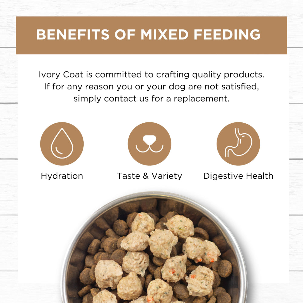 Frozen - Grain Free Chicken Meatballs for Adult Dog - Image 5