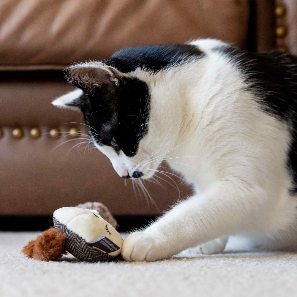 Forest Friends - Racoon & Squirrel Cat Toy Set - Image 5