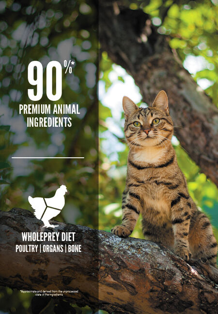 Guardian Formula Free-Run Chicken, Wild-Caught Salmon & Rabbit Cat Dry Food (USA) - Image 3
