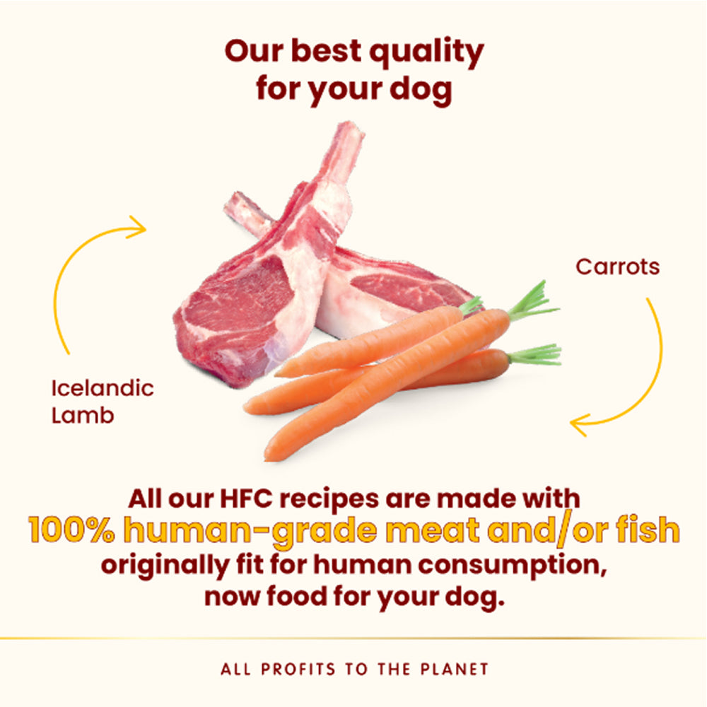 HFC Complete Icelandic Lamb With Carrots Dog Can - Image 2