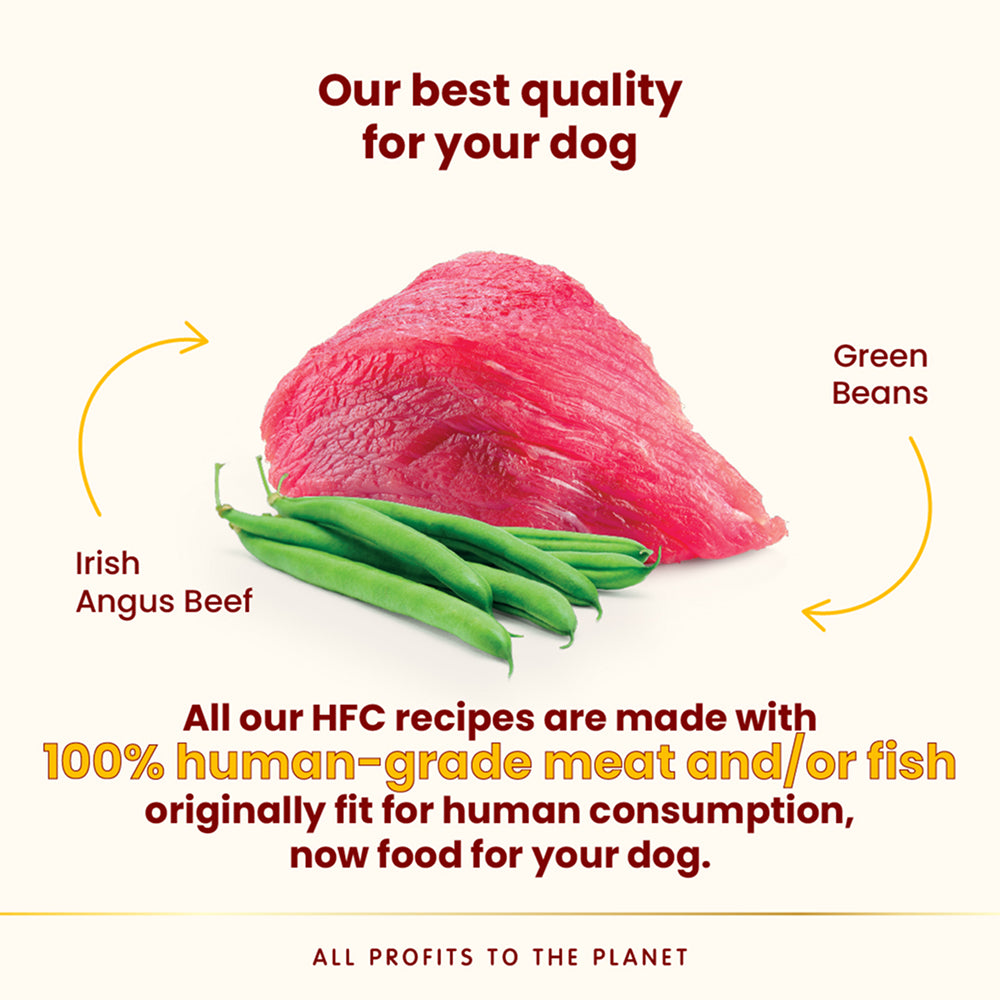 HFC Complete Irish Angus Beef With Green Beans Dog Can - Image 3