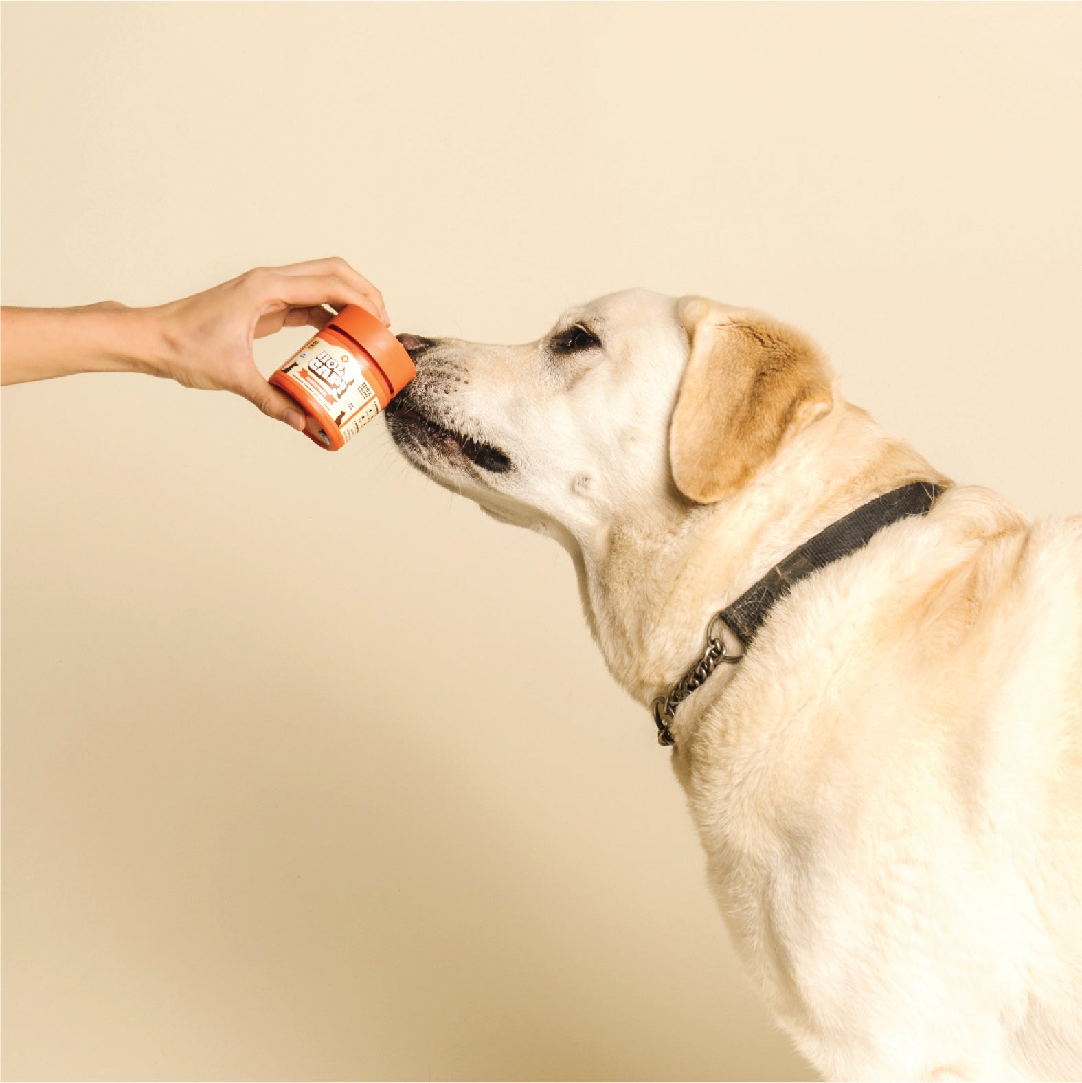 Digestion Support Mushroom Powered Pet Supplement - Image 3