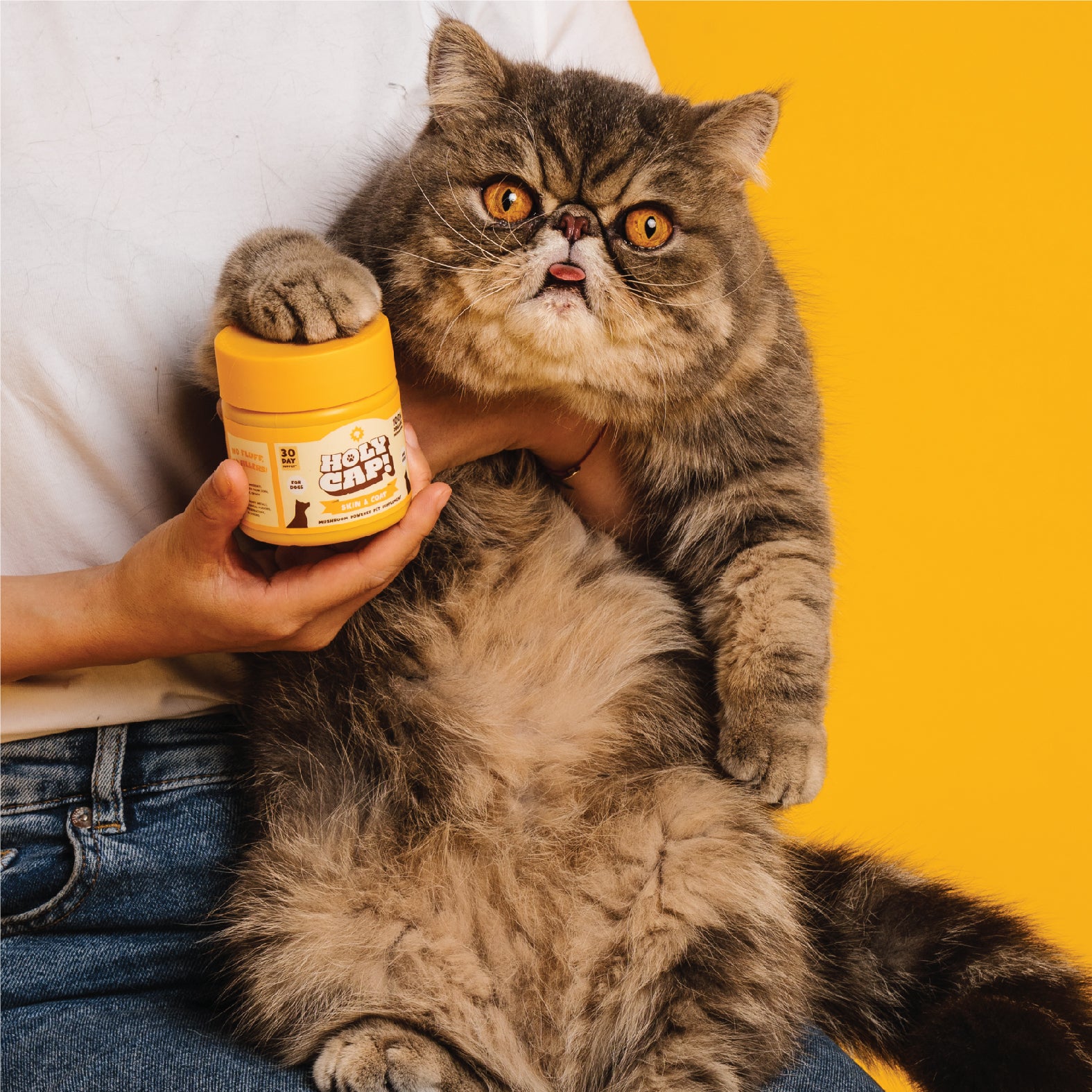 Skin & Coat Support Mushroom Powered Pet Supplement - Image 2