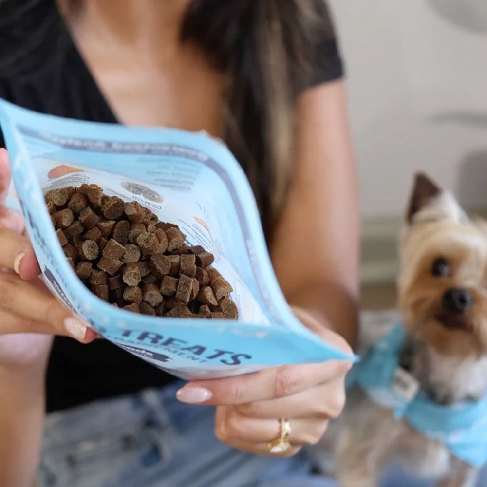 Salmon Dog Training Treats w/ Superfoods - Image 3
