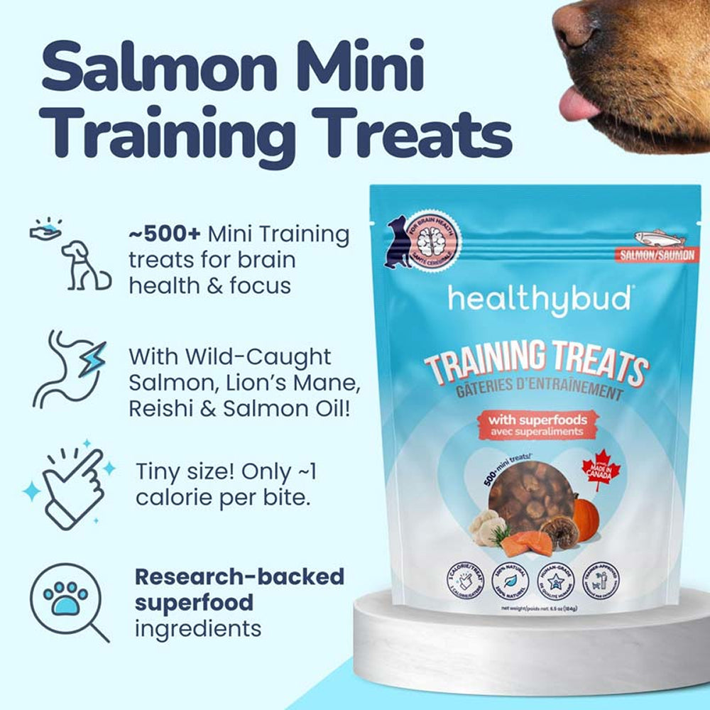 Salmon Dog Training Treats w/ Superfoods - Image 4