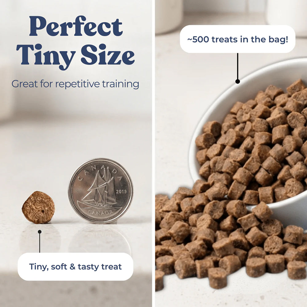 Salmon Dog Training Treats w/ Superfoods - Image 5