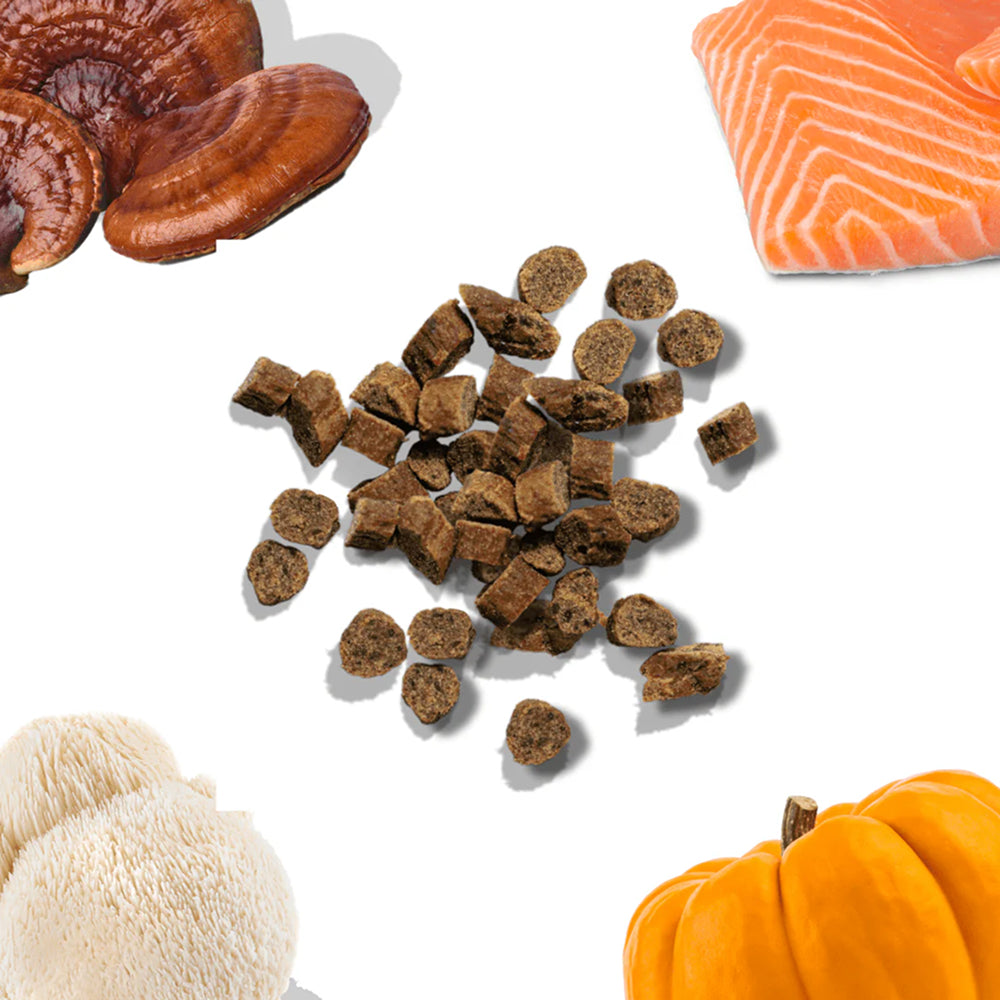 Salmon Dog Training Treats w/ Superfoods - Image 8