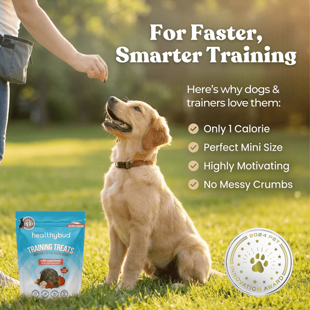 Salmon Dog Training Treats w/ Superfoods - Image 9