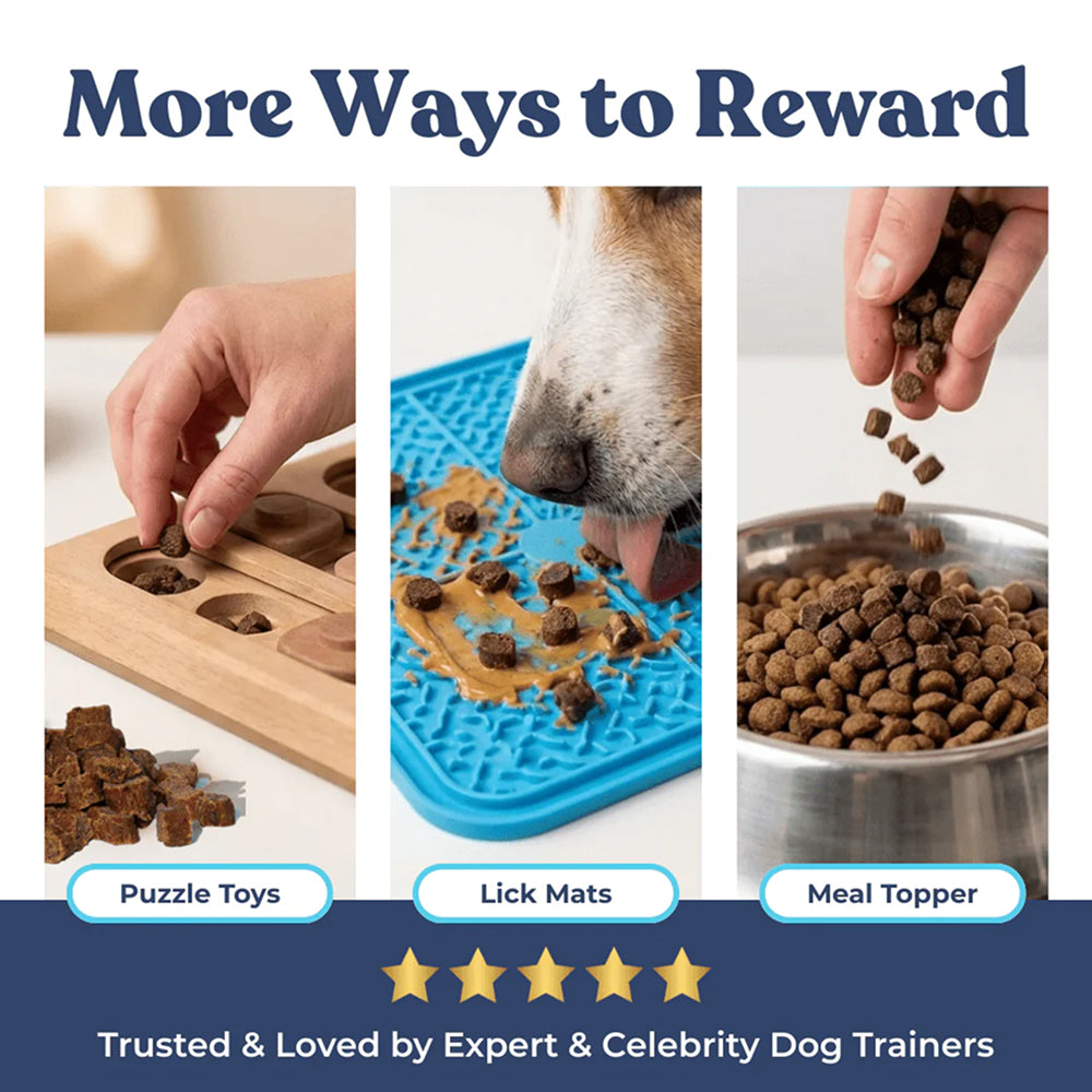 Salmon Dog Training Treats w/ Superfoods - Image 10