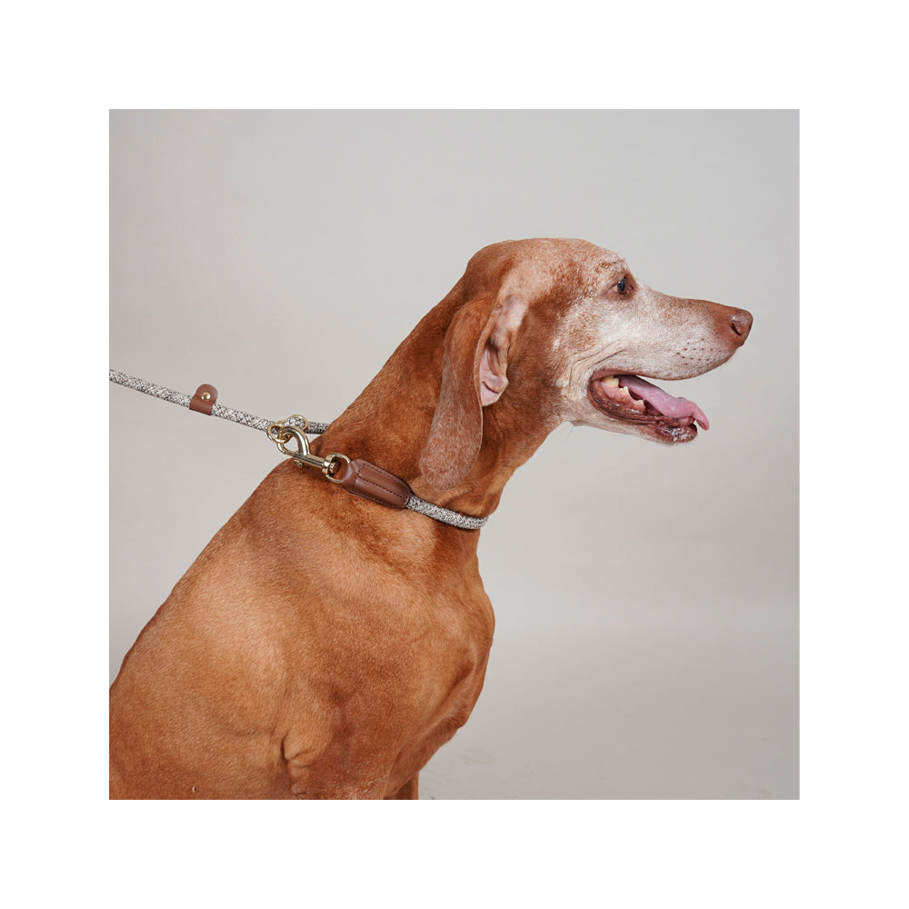 Metro Hands Free Shoulder Dog Leash - Image 7