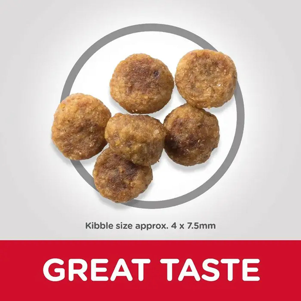 Science Diet - Everyday Diet - Small Bite Lamb & Rice Adult 1-6 Dog Dry Food - Image 2