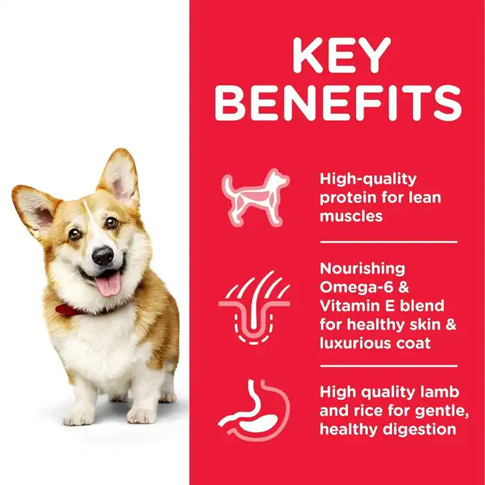 Science Diet - Everyday Diet - Small Bite Lamb & Rice Adult 1-6 Dog Dry Food - Image 3