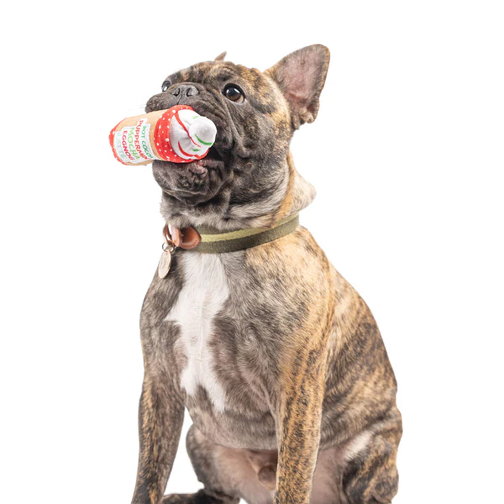 Tiny Tuff Latte My Way Dog Plush Toy - Image 4