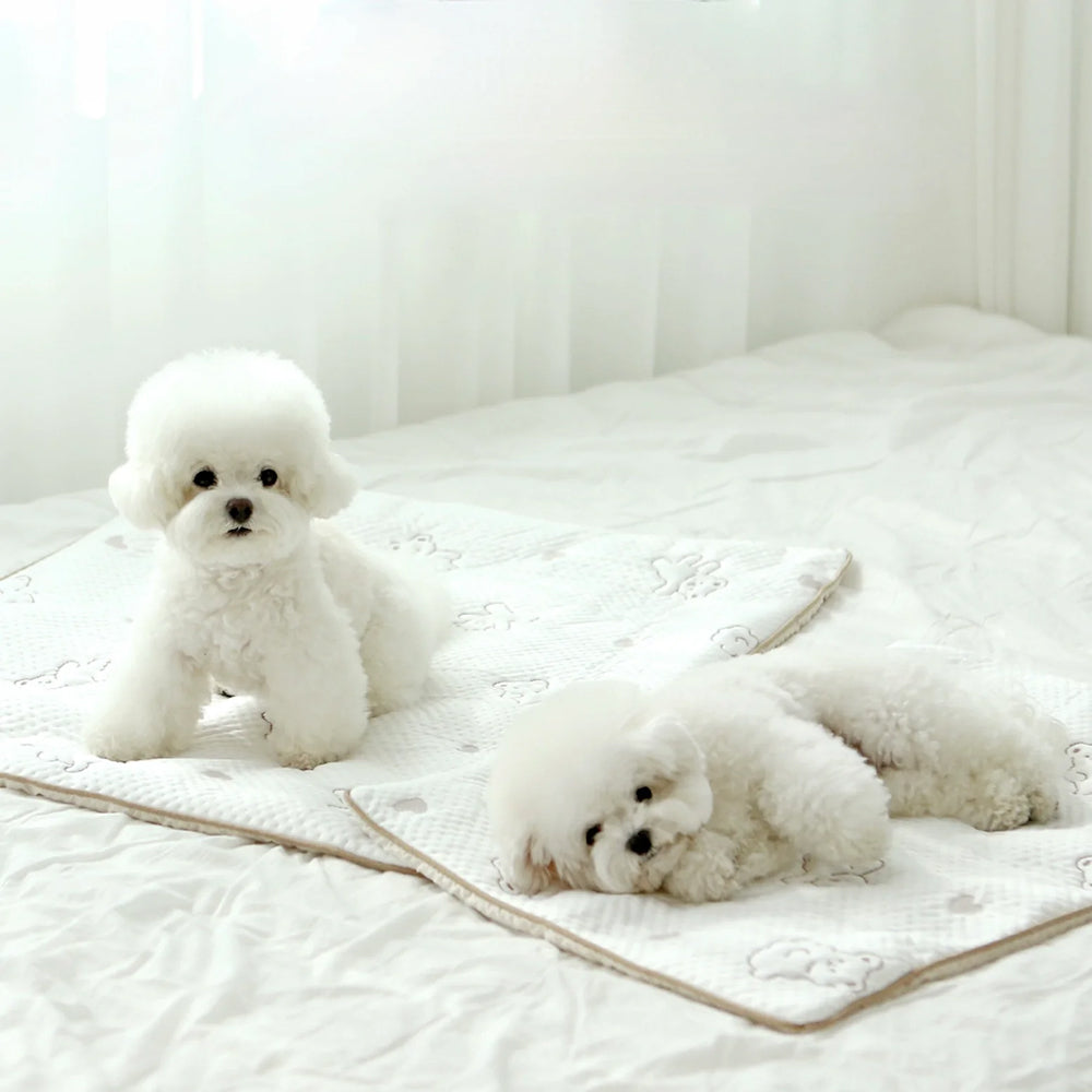 Bear Forpe Cooling Mat for Dogs & Cats - Image 3