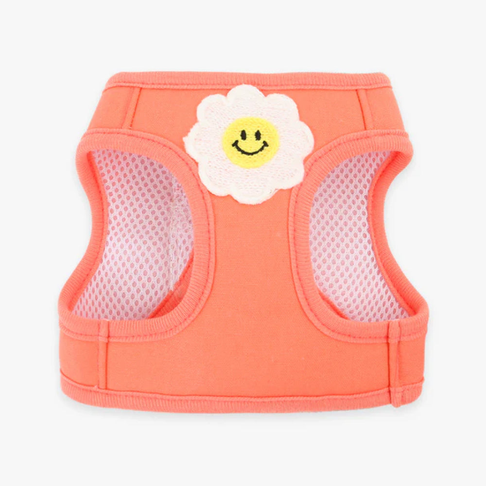 Daisy Frill Harness for Dogs & Cats - Image 3