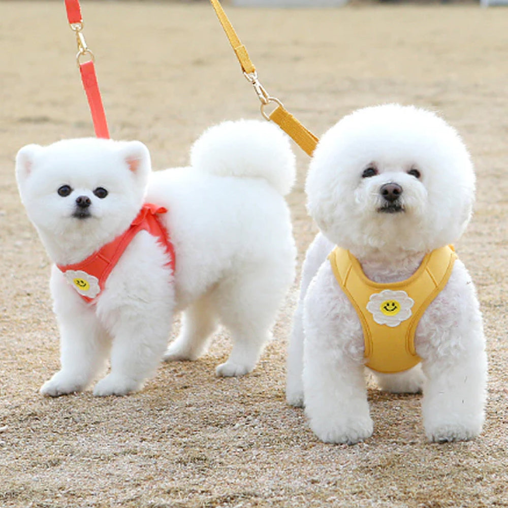 Daisy Frill Harness for Dogs & Cats - Image 6