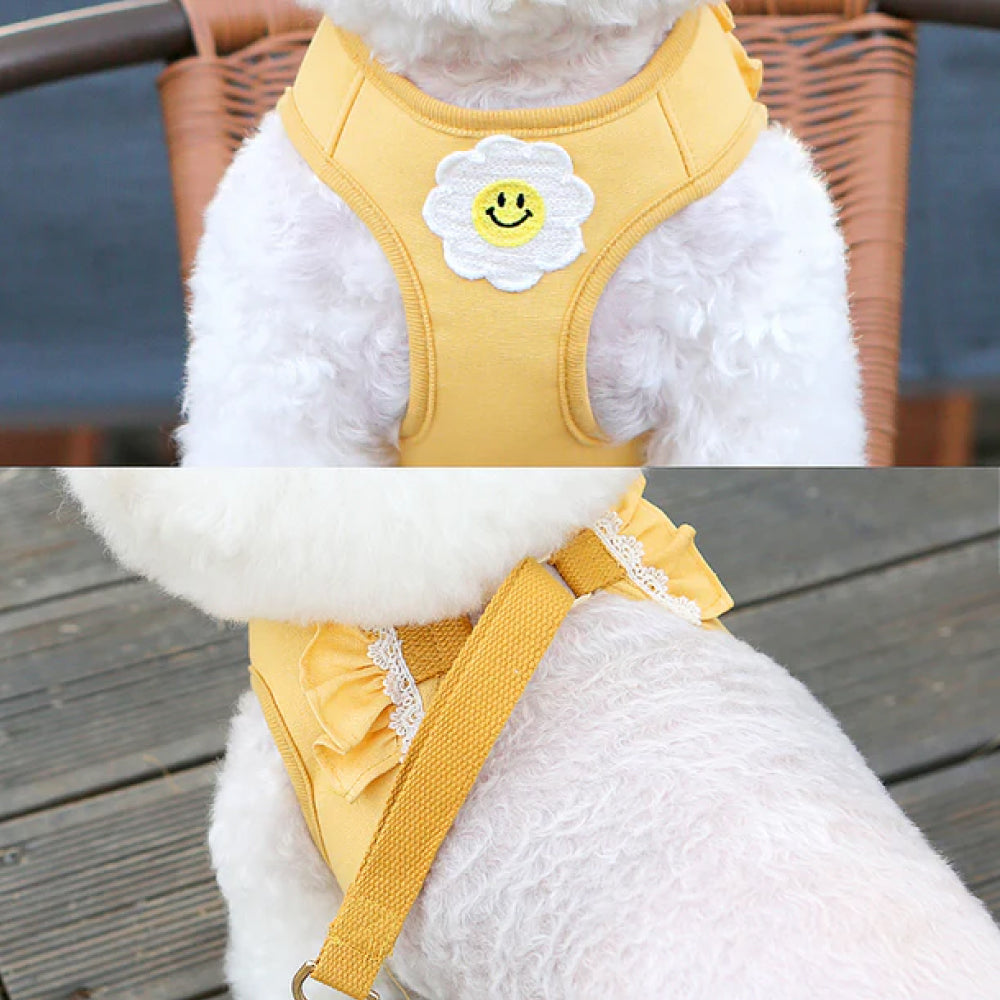 Daisy Frill Harness for Dogs & Cats - Image 7