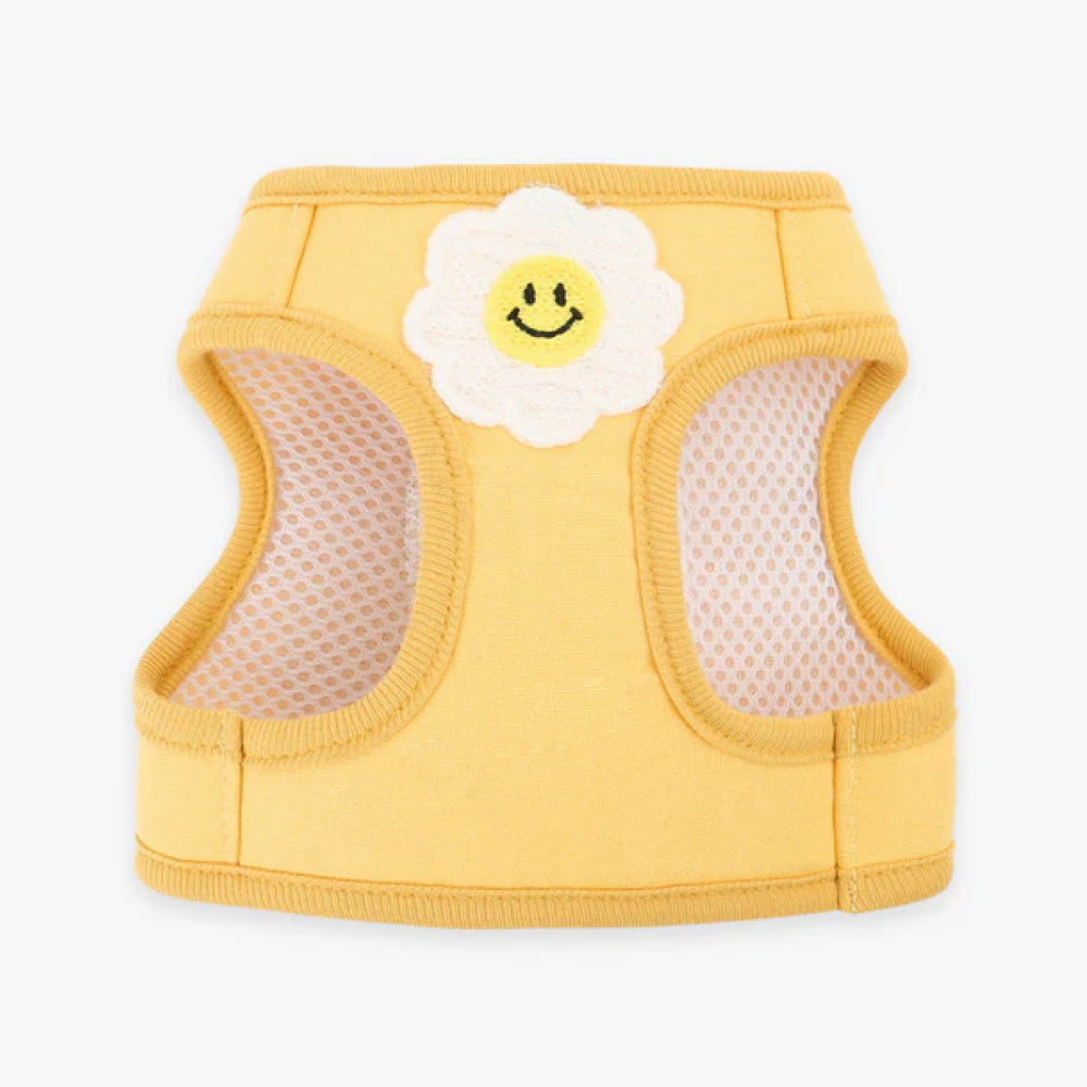 Daisy Frill Harness for Dogs & Cats - Image 5
