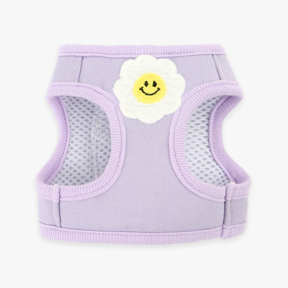 Daisy Frill Harness for Dogs & Cats - Image 4
