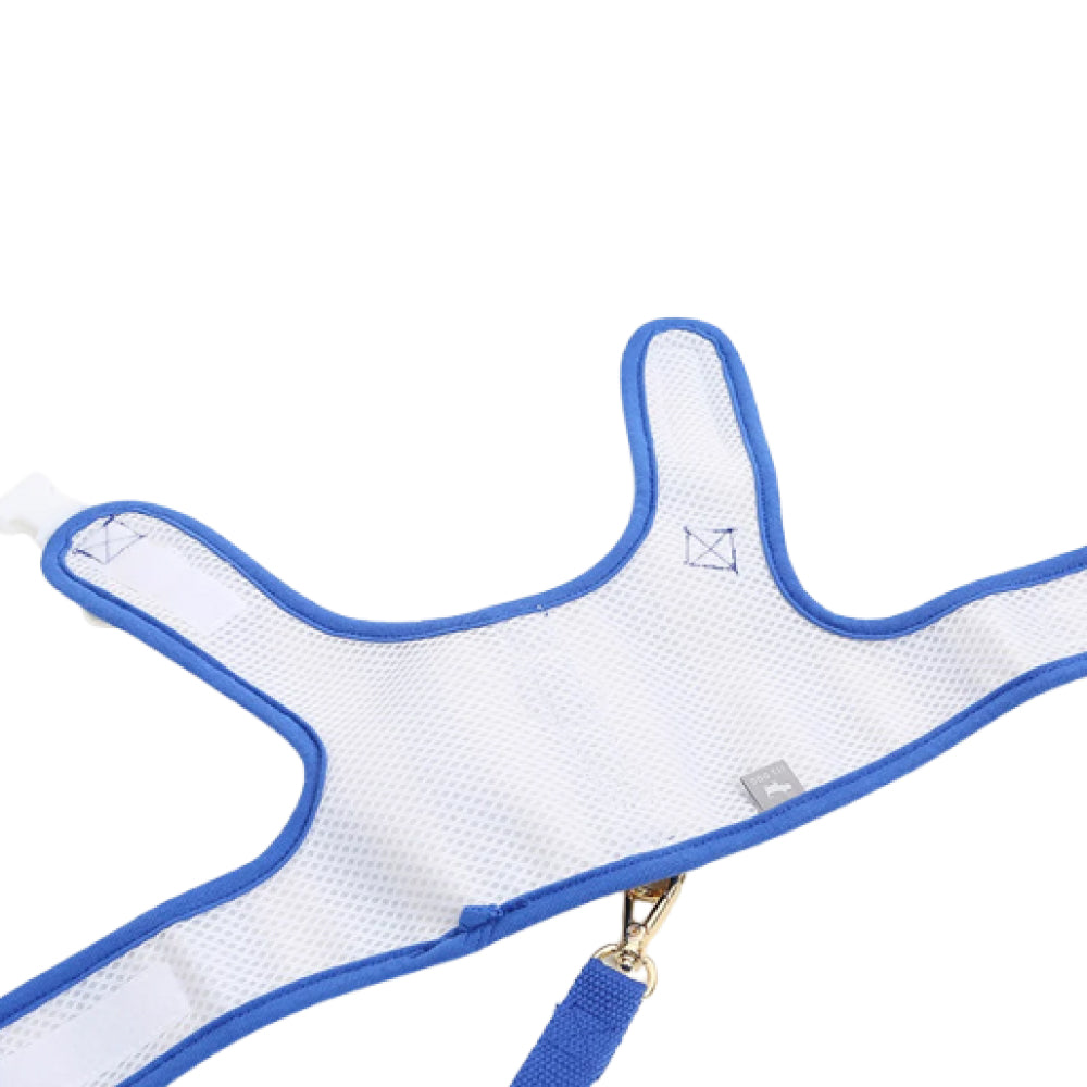 Smile Daisy Harness for Dogs & Cats - Image 9
