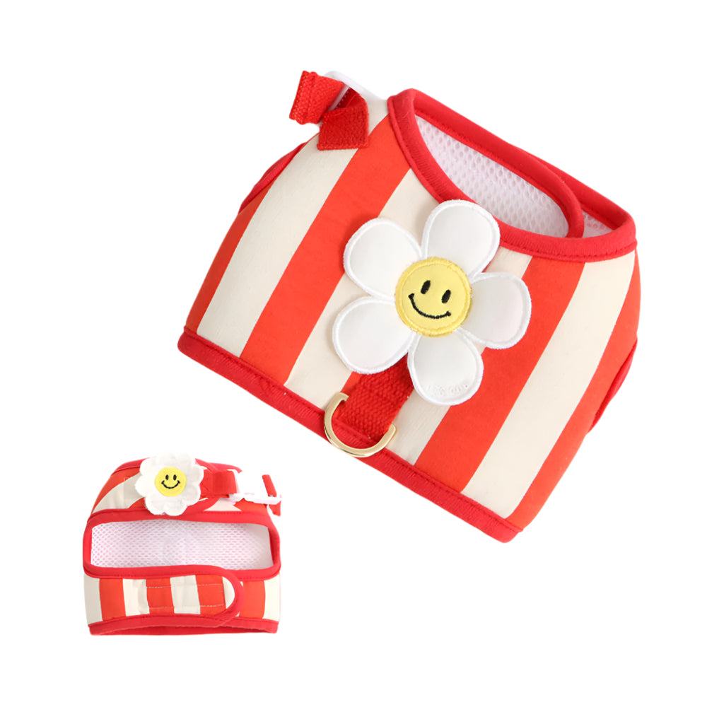 Smile Daisy Harness for Dogs & Cats - Image 4