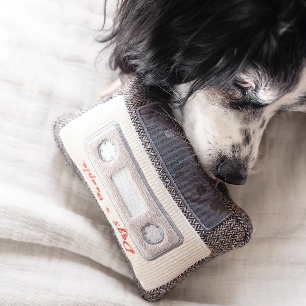 Cassette Snuffle + Squeaky Dog Toy - Image 3