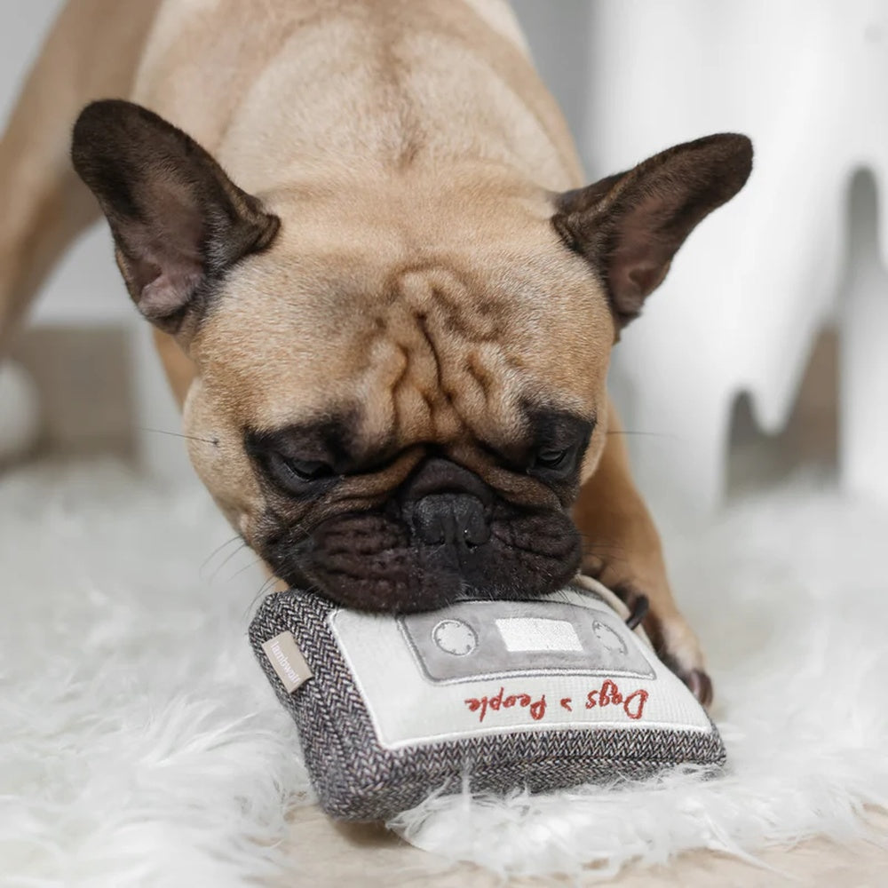 Cassette Snuffle + Squeaky Dog Toy - Image 4