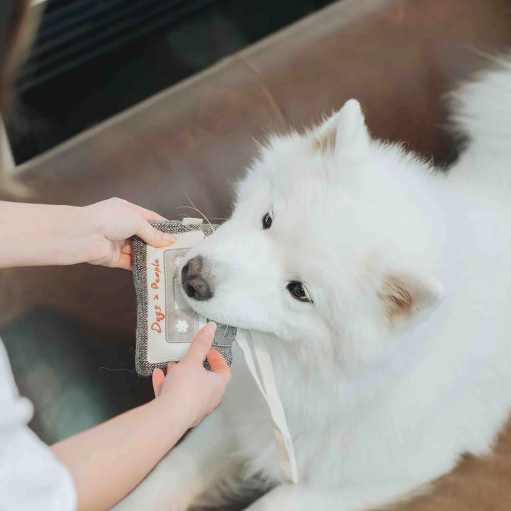 Cassette Snuffle + Squeaky Dog Toy - Image 8