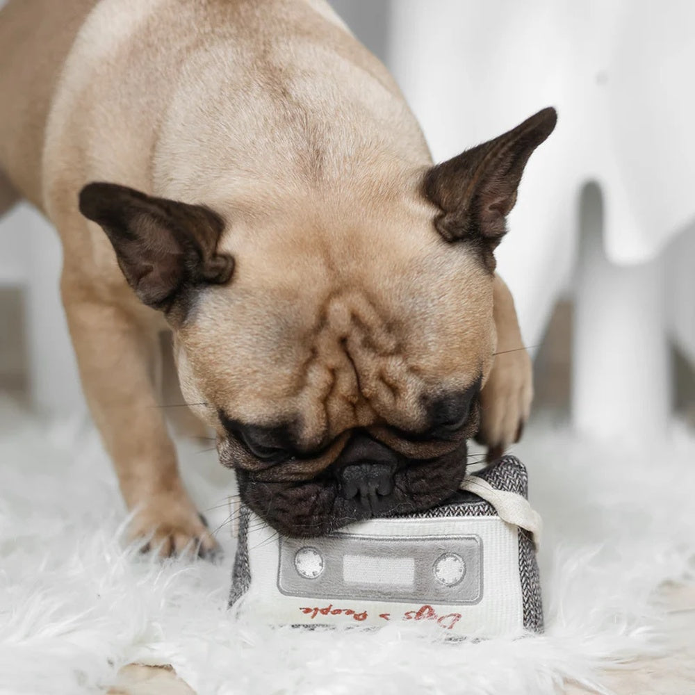 Cassette Snuffle + Squeaky Dog Toy - Image 9