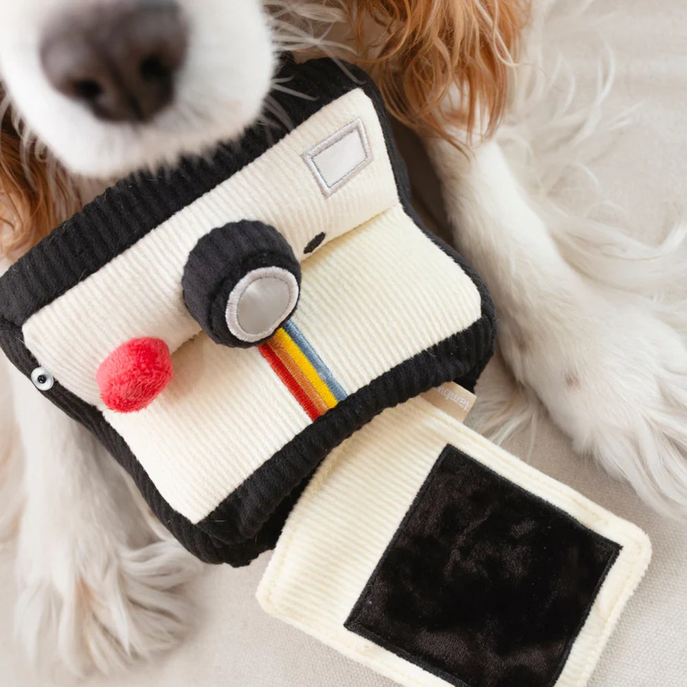 Instant Camera Snuffle + Squeaky Dog Toy - Image 3