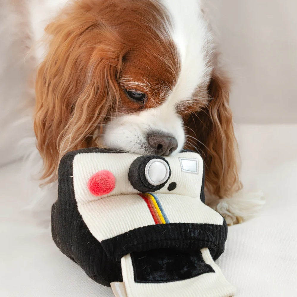 Instant Camera Snuffle + Squeaky Dog Toy - Image 5